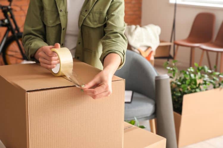 Woman Packing Some Items in a Moving Box